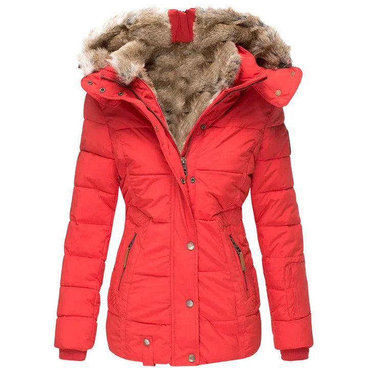 Women's Parka Jacket Coat Cairns Closet